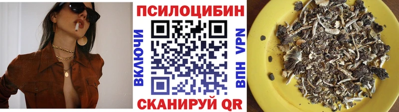 Галлюциногенные грибы Magic Shrooms это наркотические препараты Новоаннинский купить наркотик