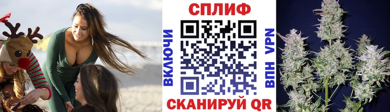 как найти закладки  Новоаннинский  Каннабис SATIVA & INDICA 
